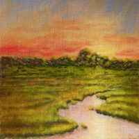 Marsh 2                      