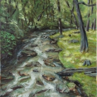 Rocky Creek                      