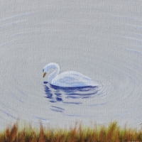 Swan - $275                    