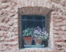 Window Seat