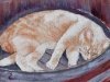Cat Nap - $175                 