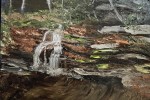 Carrick Creek Falls Plein Air