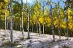 Aspen Sunrise - Wasatch Mountains