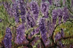 Wisteria