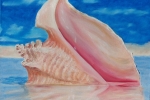 Conch Shell 2