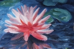 Waterlily 5