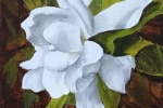 Gardenia Blossom