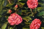 Pink Camelias Varnished - web large