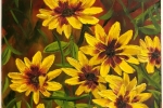 Gloriosa Daisies