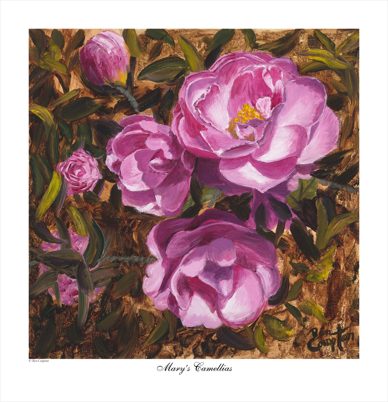 Mary's Camelias – Ben Compton Art